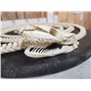 Image 3 : Authentic Articulated Python Skelton Taxidermy