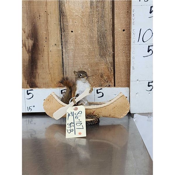 Squirrel In A Birch Bark Canoe Taxidermy