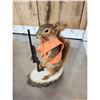 Image 10 : 3 Cute Critters Taxidermy Lot
