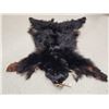 Image 1 : Black Bear Soft Tanned Fur Taxidermy