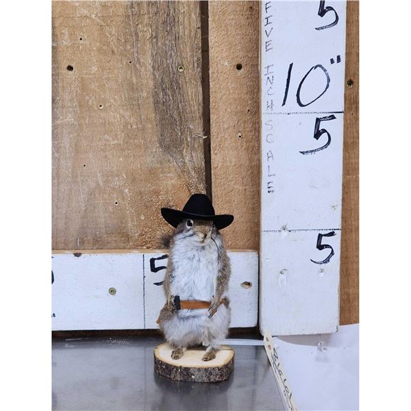 Sheriff Squirrel Full Body Taxidermy Mount