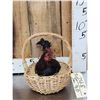 Image 2 : Chicken In A Basket Full Body Bird Taxidermy
