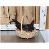 Image 3 : Chicken In A Basket Full Body Bird Taxidermy