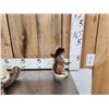 Image 3 : 3 Cute Critters Taxidermy Lot