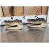 Image 2 : 6 Taxidermy Alligator Heads