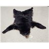 Image 1 : Black Bear Soft Tanned Fur Taxidermy