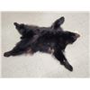 Image 2 : Black Bear Soft Tanned Fur Taxidermy