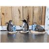 Image 1 : 3 Cute Critters Taxidermy Lot
