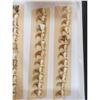 Image 3 : 45 Bobcat Claws Taxidermy