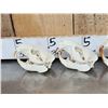Image 3 : 6 Beaver Skulls Taxidermy