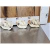 Image 5 : 6 Beaver Skulls Taxidermy