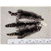 Image 1 : 3 Raccoon Soft Tanned Furs