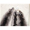Image 2 : 3 Raccoon Soft Tanned Furs