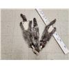 Image 3 : 3 Raccoon Soft Tanned Furs