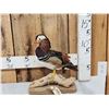 Image 1 : Mandarin Duck Full Body Bird Taxidermy