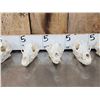 Image 7 : 6 Coyote Skulls Taxidermy
