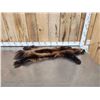 Image 1 : Alaskan Wolverine Soft Tanned Fur