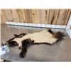 Image 6 : Alaskan Wolverine Soft Tanned Fur