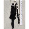 Image 1 : 2 Skunk Soft Tanned Furs Taxidermy