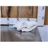 Image 1 : Alaskan Wolf Skull Taxidermy