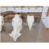 Image 2 : Game Animal Skull Lot Taxidermy