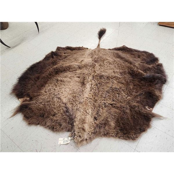 American Bison Buffalo Soft Tanned Robe Taxidermy