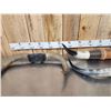 Image 3 : 3 Sets Of Bull Horns Taxidermy