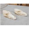 Image 3 : 2 Coyote Skulls Taxidermy