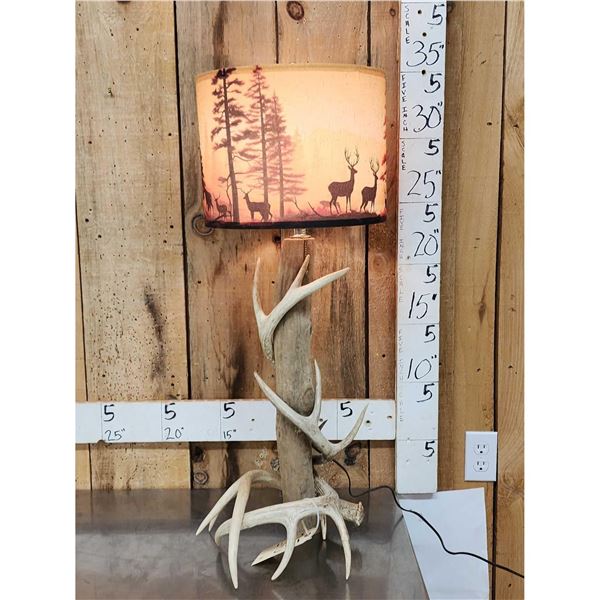 Antler & Driftwood Lamp