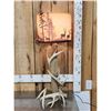 Image 1 : Antler & Driftwood Lamp