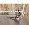 Image 3 : Ringneck Pheasant Full Body Bird Taxidermy