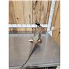 Image 4 : Ringneck Pheasant Full Body Bird Taxidermy