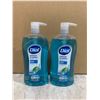 Image 1 : Lot of 2 Dial Hand Soap Spring Water Scent 946ml Per