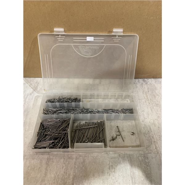 Case of Nails Mixed Sizes