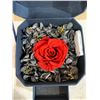 Image 3 : NUVO Lounge 295 Lightup Rose Jewelry Box