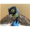Image 2 : Winged Owl 29.5x15.5x28.5cm