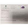 Image 2 : 10K(2.32G), AMETHYST (10CT) PENDANT, APPRAISED INSURANCE VALUE $715