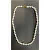 Image 1 : JAPANESE SEA WATER CONCH PEARL NECKLACE