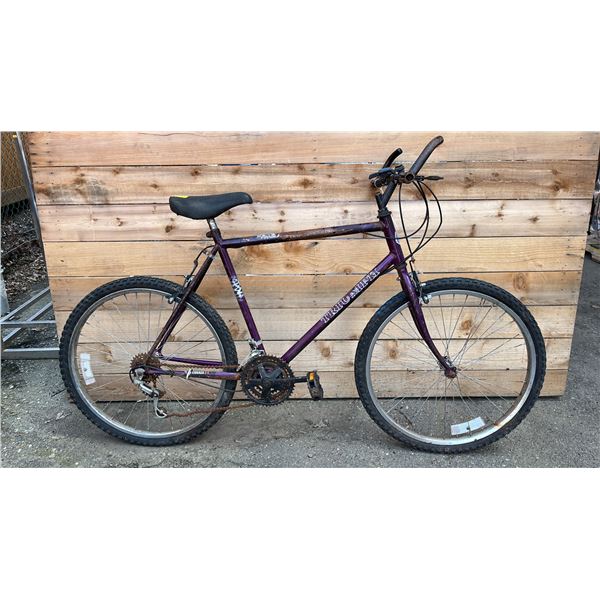 TRIUMPH 18 SPEED BIKE (RUST ISSUES)