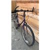 Image 2 : TRIUMPH 18 SPEED BIKE (RUST ISSUES)