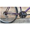 Image 4 : TRIUMPH 18 SPEED BIKE (RUST ISSUES)