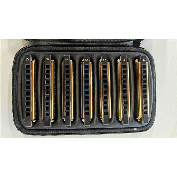 SET OF JDR BLUES HARMONICAS IN SOFT CASE