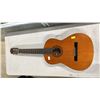 Image 1 : FENDER GEMINI 1 ACOUSTIC GUITAR
