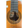 Image 2 : FENDER GEMINI 1 ACOUSTIC GUITAR