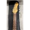 Image 2 : ION ELECTRIC GUITAR IN SOFT CASE