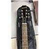 Image 2 : EPIPHONE DR 100 VS ACOUSTIC GUITAR IN SOFT CASE