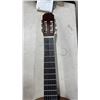 Image 3 : ANGELICA CE-12 ACOUTIC GUITAR