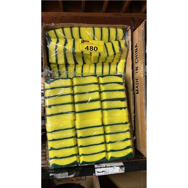 CASE OF SPONGES