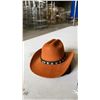 Image 3 : CASE OF PET COWBOY HAT & HALLOWEEN SCARF