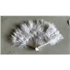 Image 2 : CASE OF FEATHERED FANS